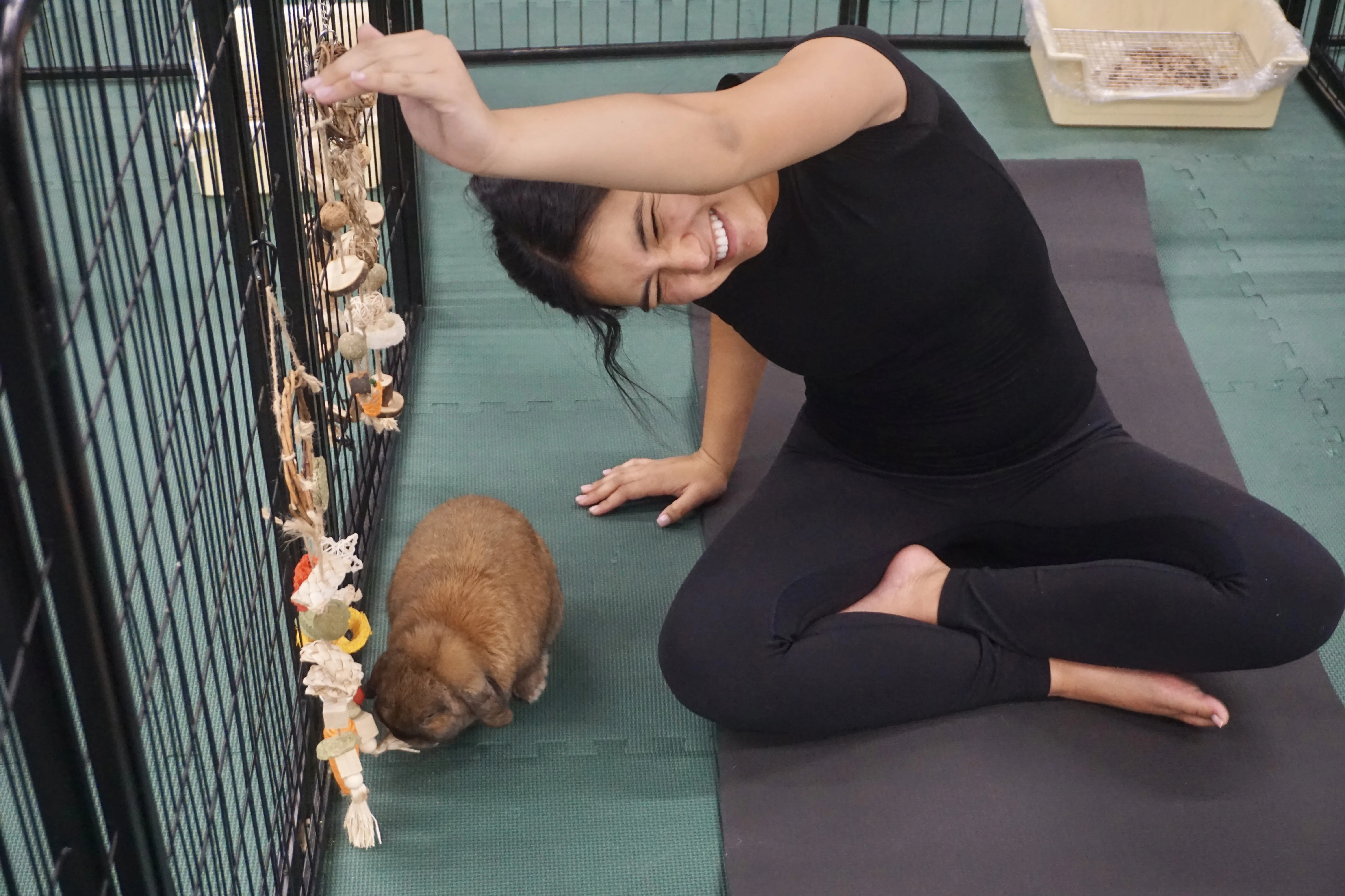 Bunny Yoga ticket