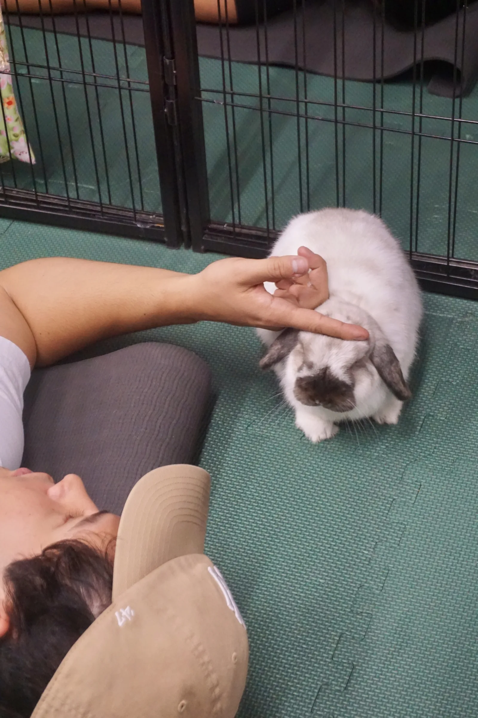 A student resting on her mat petting a fluffy lop bunny