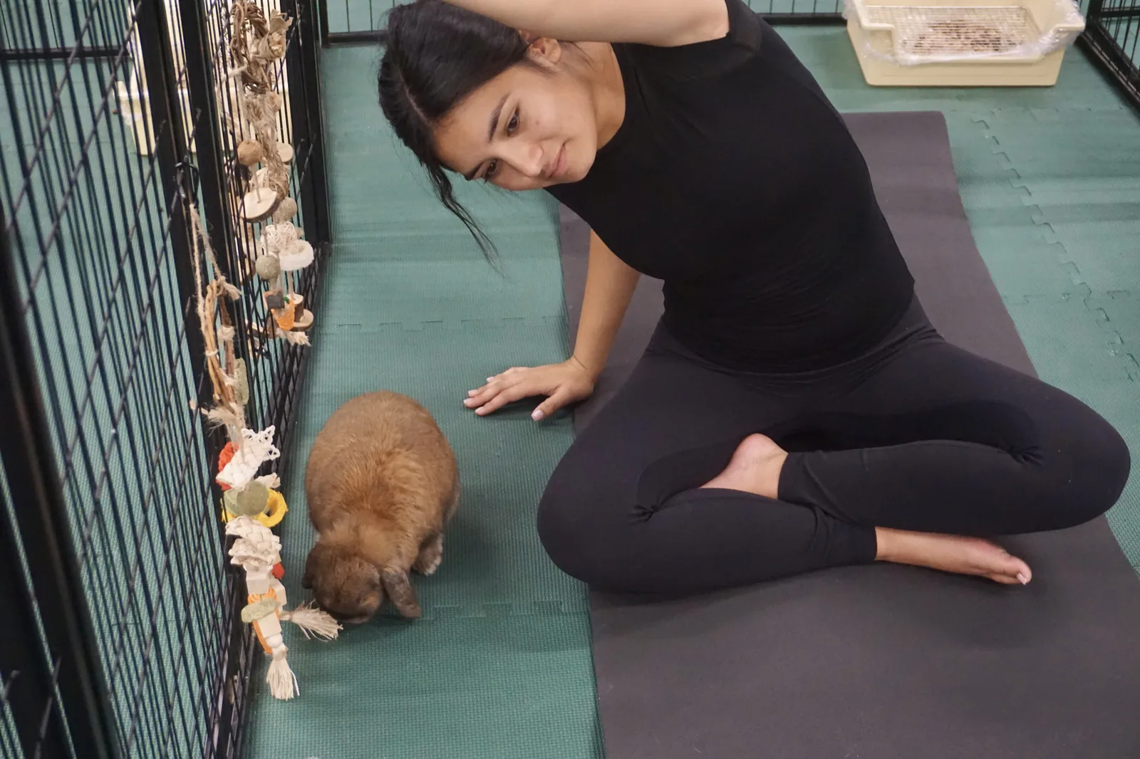 A student in a side stretch on her mat with a brown lop bunny grazing beside her